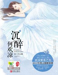 沉醉何欢封面