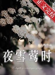 夜雪莺时[先婚后爱]封面