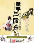 圣手三国杀封面
