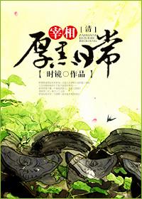 宰相厚黑日常清封面