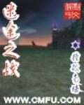 迷途之战封面