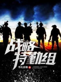战略特勤组封面