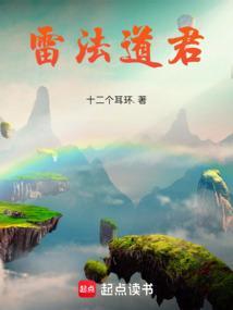 雷法道君封面