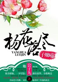 杨花落尽子规啼封面