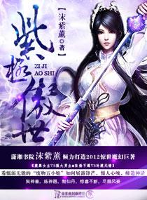 紫极傲世封面