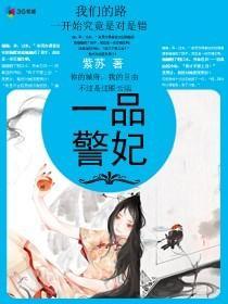 一品警妃封面