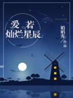爱若灿烂星辰封面