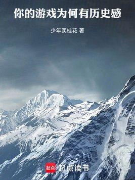 你的游戏为何有历史感封面