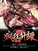 疯狂升级系统封面