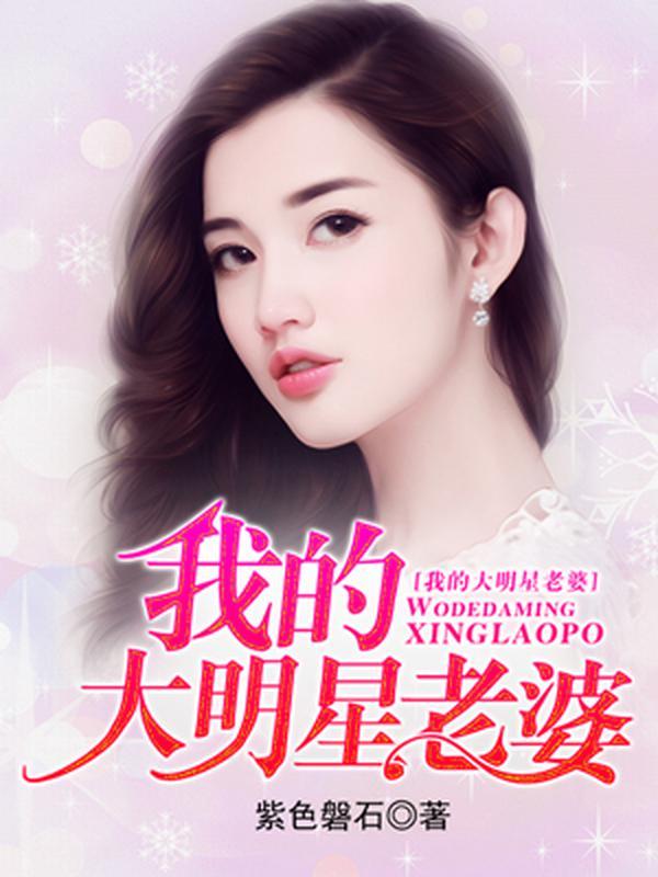 我的大明星老婆封面