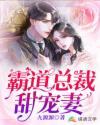 霸道总裁甜宠妻封面