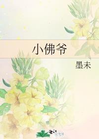 小佛爷封面