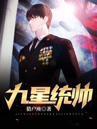 九星统帅封面