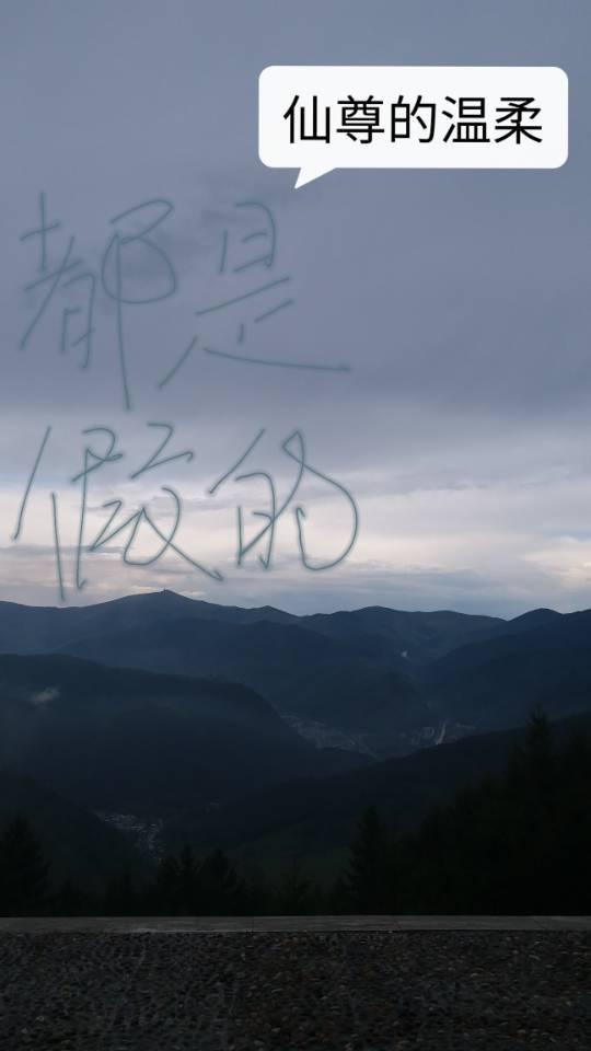 仙尊的温柔都是假的封面
