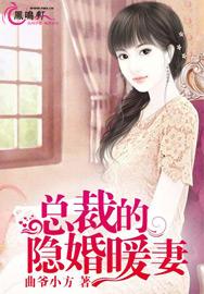 总裁的隐婚暖妻封面