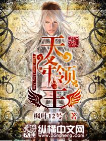 天降领主封面