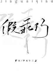 假乖巧封面