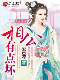 相公有点坏封面