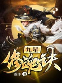 九星修魂诀封面