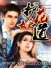 护花妖道封面