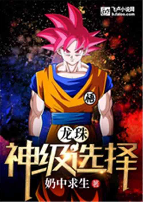 龙珠：神级选择封面