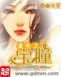 重生之宝瞳封面
