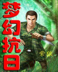梦幻抗日封面