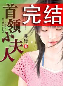 首领小夫人封面