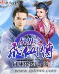 异世之飞仙传封面