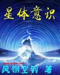 星体意识封面