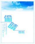 偷晴封面