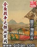 全面战争之铁血军阀封面