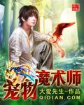 宠物魔术师封面