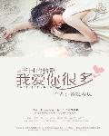 天国的情歌:我爱你很多封面