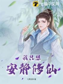 我只想安静修仙封面