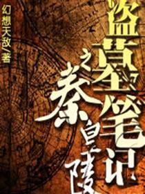 盗墓笔记之秦皇陵2封面