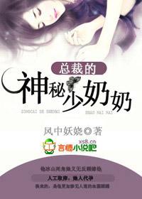 总裁的神秘少奶奶封面