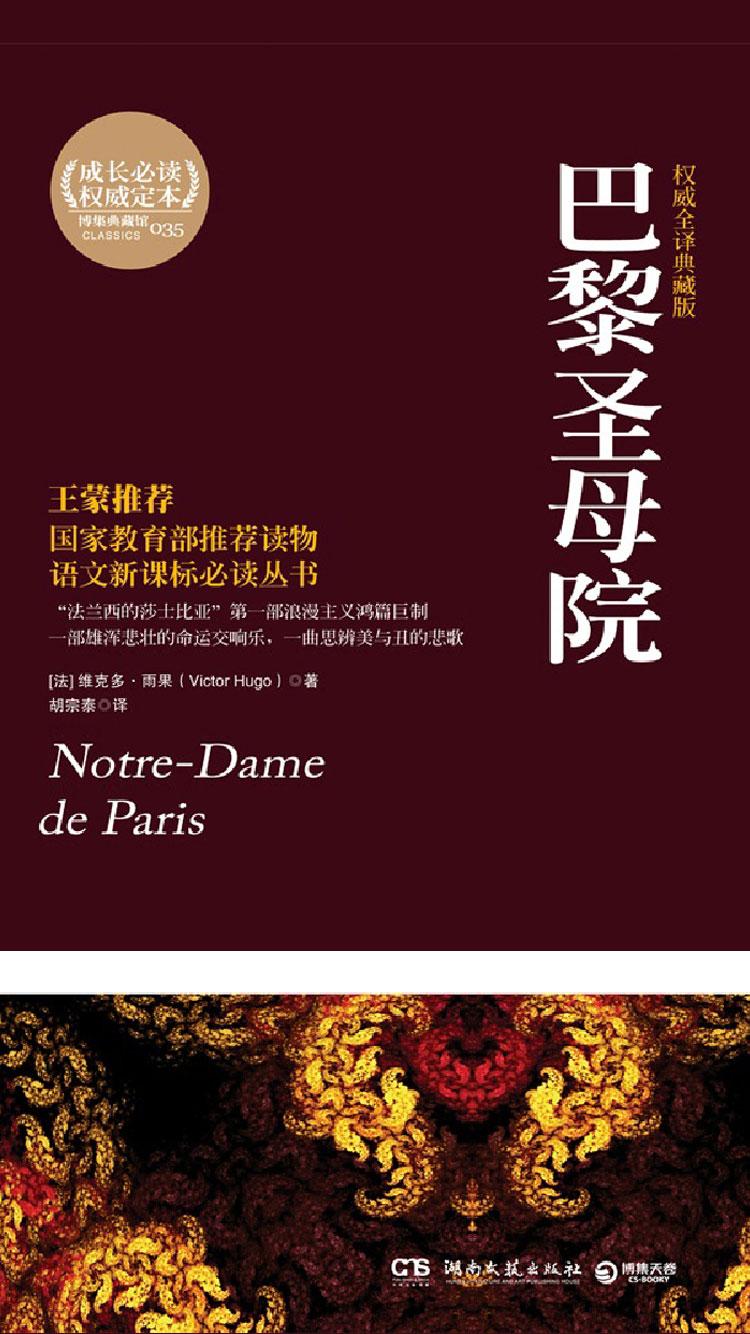 巴黎圣母院封面