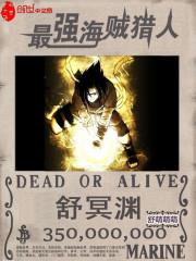 最强海贼猎人封面