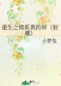 重生之情系黄药师封面