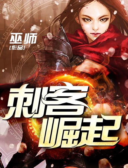刺客崛起封面