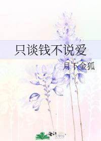 只谈钱不说爱封面