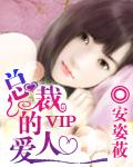 总裁的vip爱人封面