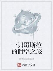 一只哥斯拉的时空之旅封面