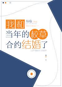 我和当年的校草合约结婚了封面