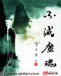 不灭尘魂封面