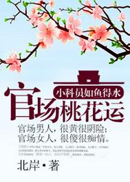 官场桃花封面