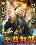 异世之至尊无双封面