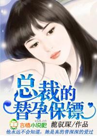 总裁的替孕保镖封面