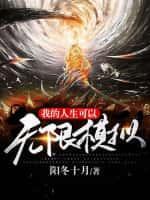 我的人生可以无限模拟封面